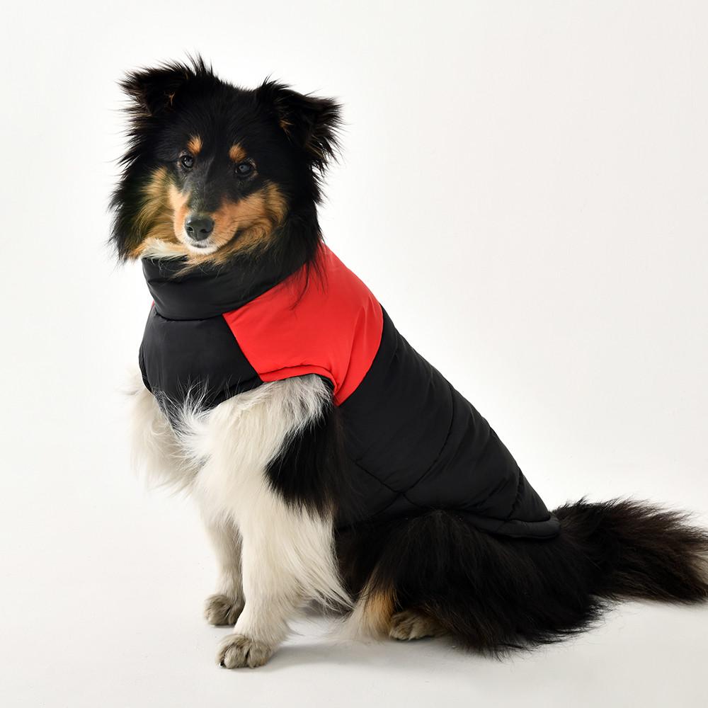 강아지패딩 대형견 패딩 조끼 경량 겨울옷 중형견 진돗개 L