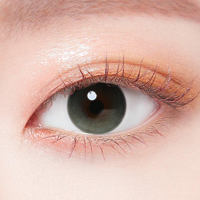 데이지드림 올리브