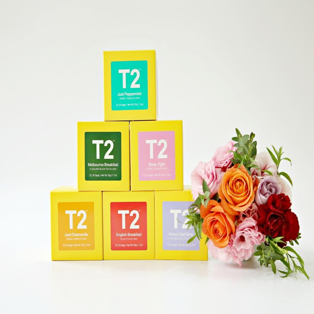 T2 티투 샘플 맛보기 7종류 14개입