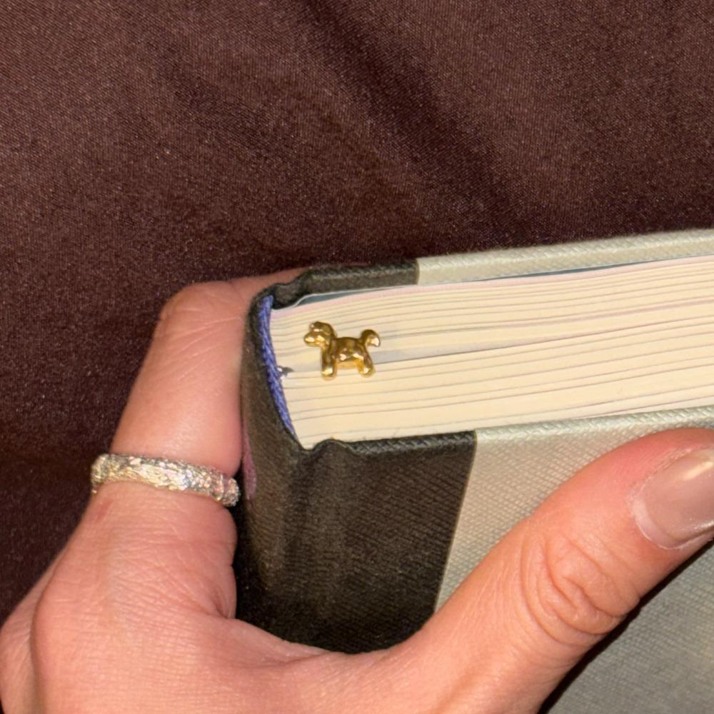 [ETC] Pony  bookmark (brass)