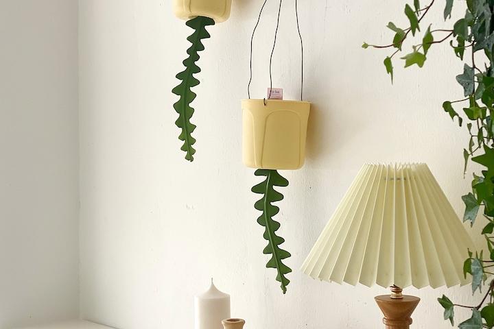 행잉플랜트 피쉬본 생선뼈 선인장