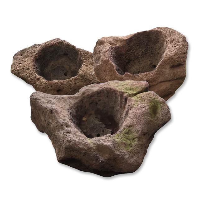 담쟁이가든 화산석 화분 소 중 자연석