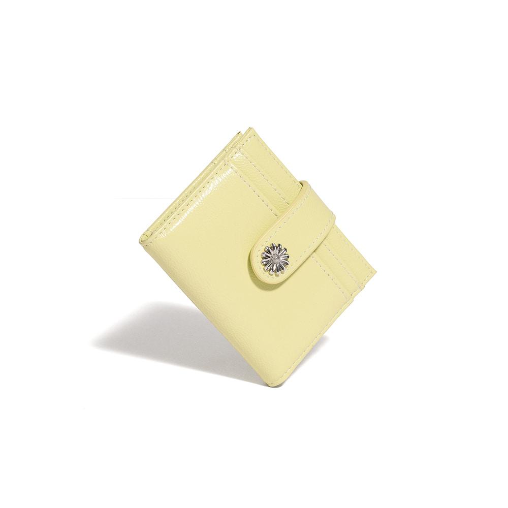 미니 데이지 포토 슬롯 명함 홀더 카드지갑 페일레몬