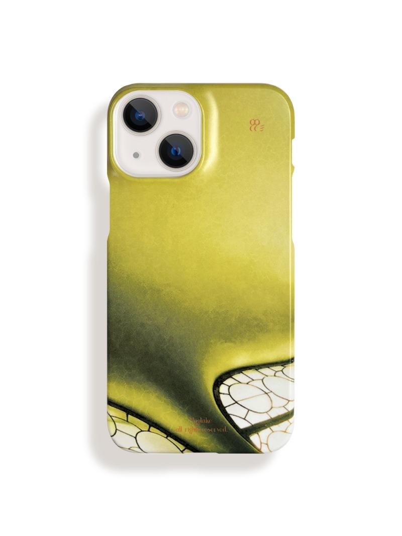 The Ceiling  *HARD CASE