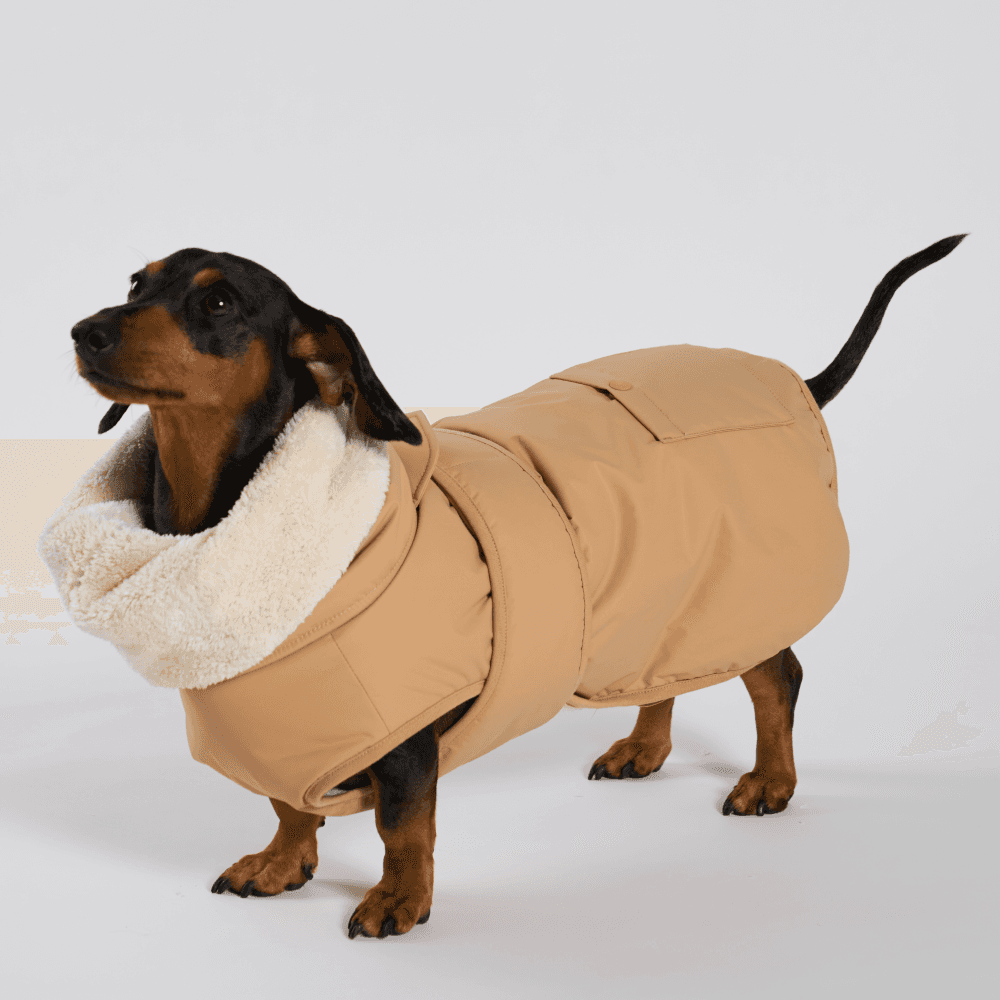 개따뜨텍 강아지 패딩 Beige