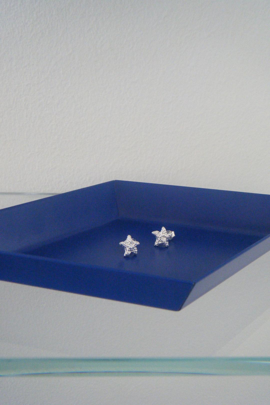 Starfish silver earrings