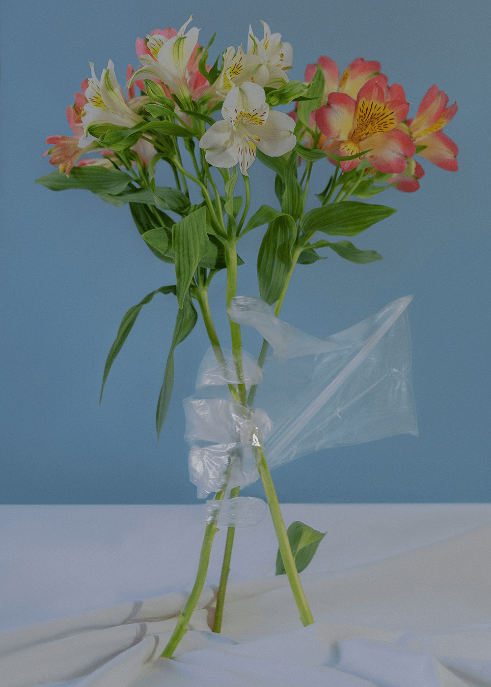 Ikebana #3