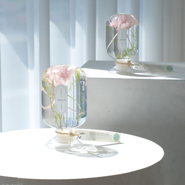 Nigella.P 니겔라.P