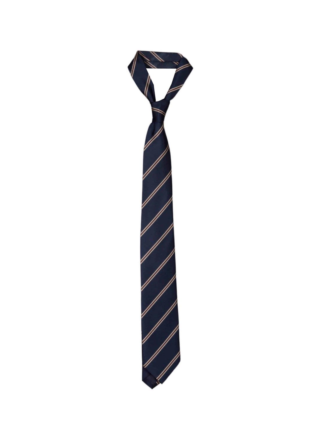 STRIPE TIE