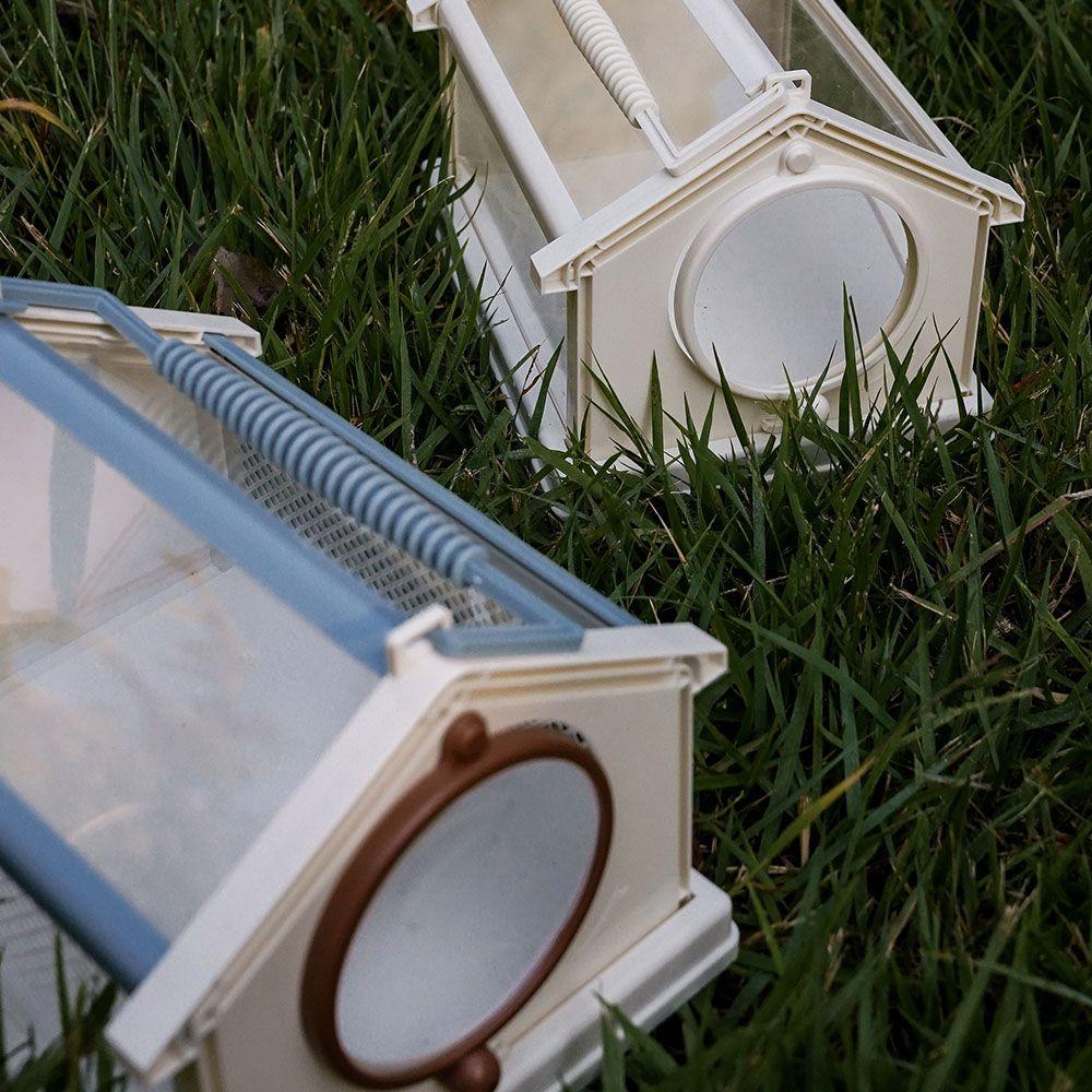 Small Creature Observation box 키즈 관찰통
