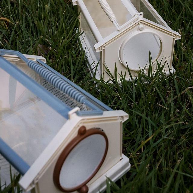 Small Creature Observation box 키즈 관찰통