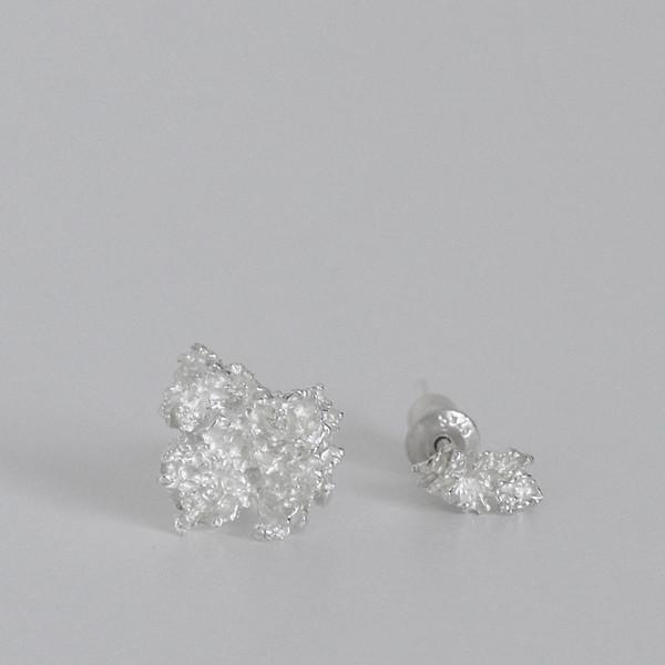 White Snow 02