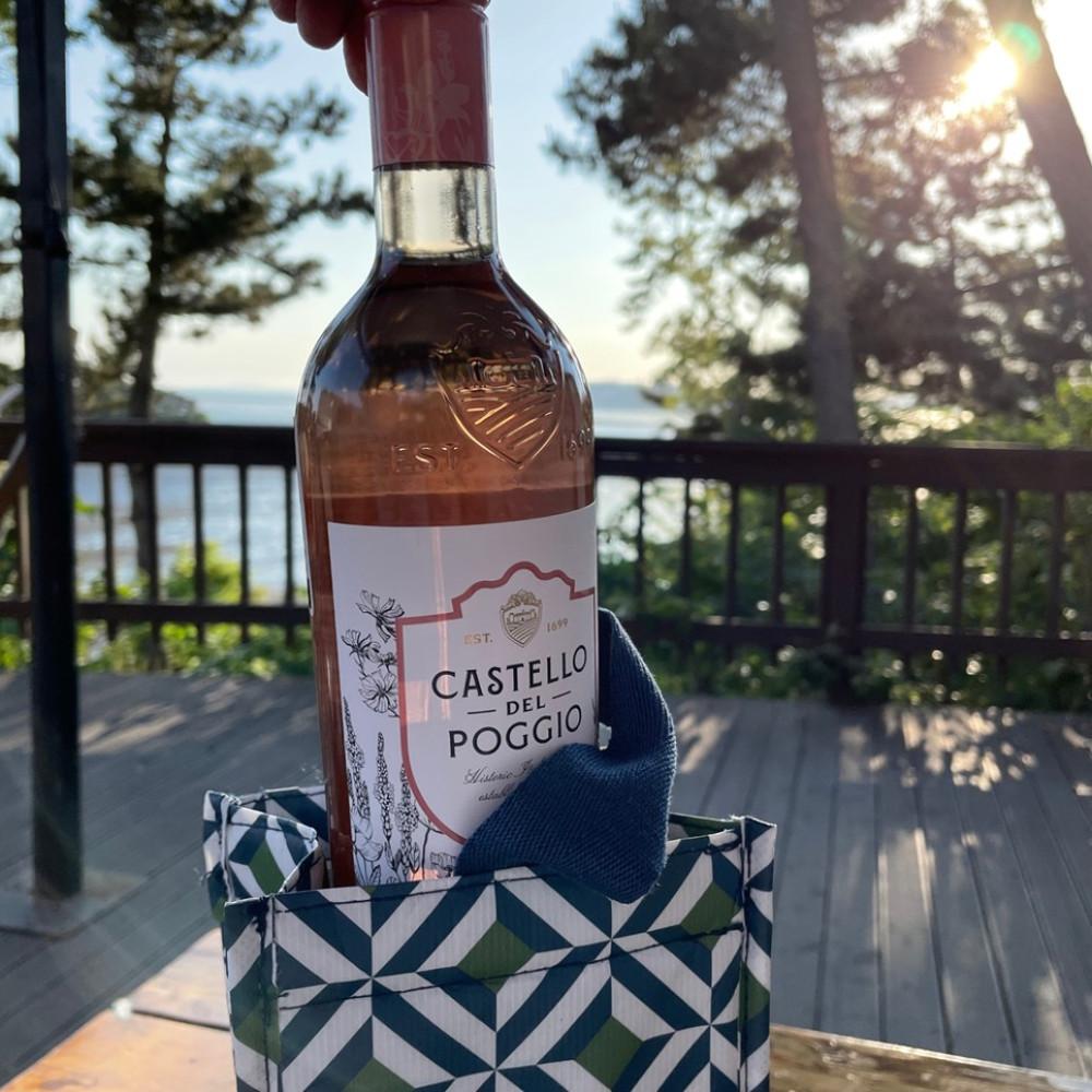 호주 프로젝트텐 와인 칠링백 칠러 캐리어 쿨러 가방