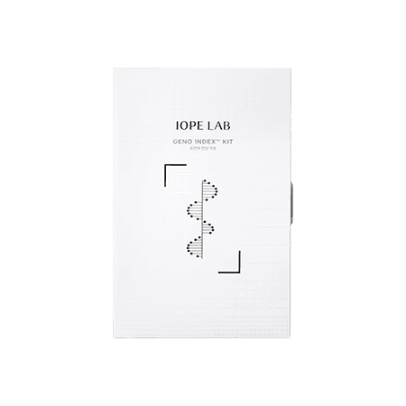 랩 지노 인덱스