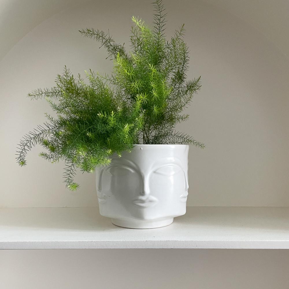 젠 팟 유니크 홈가드닝 플랜테리어 토분 미드센츄리모던 유니크 세라믹 화분