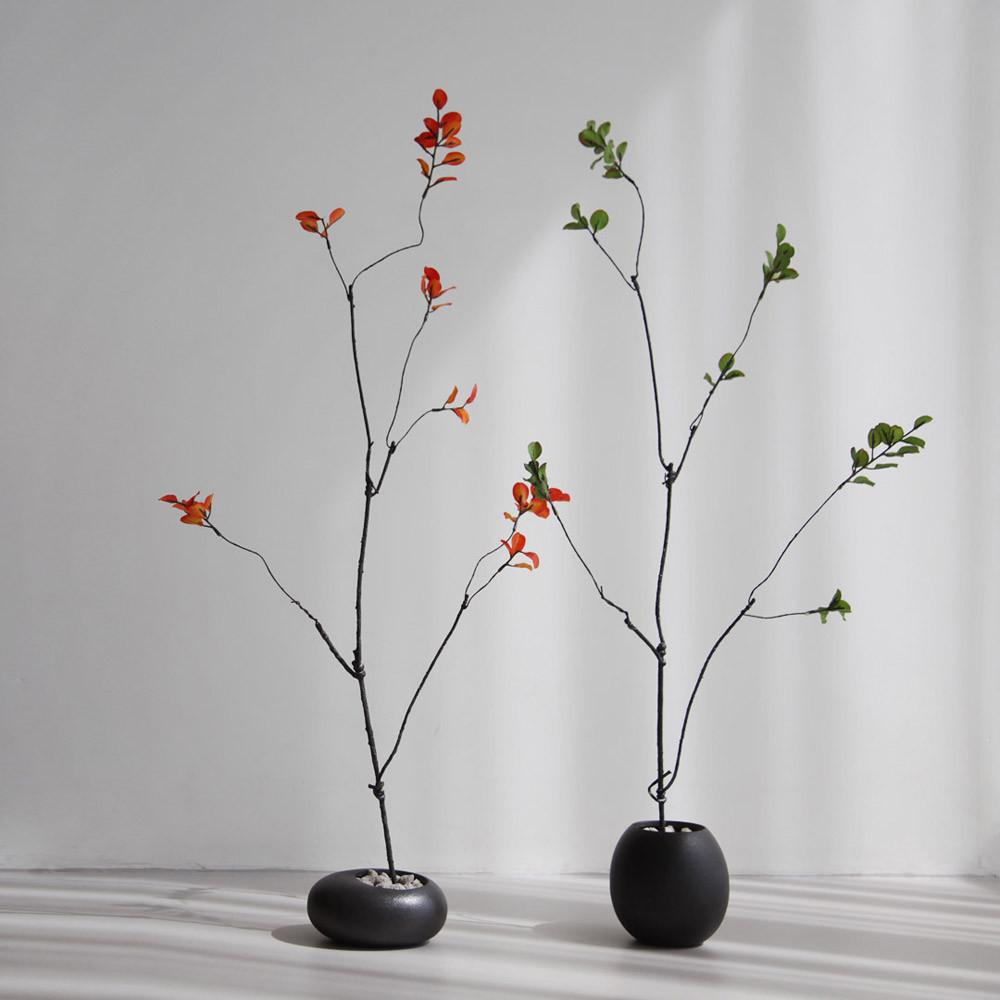 화살나무 흑자기 조약돌 2종 화분세트 인테리어조화화분