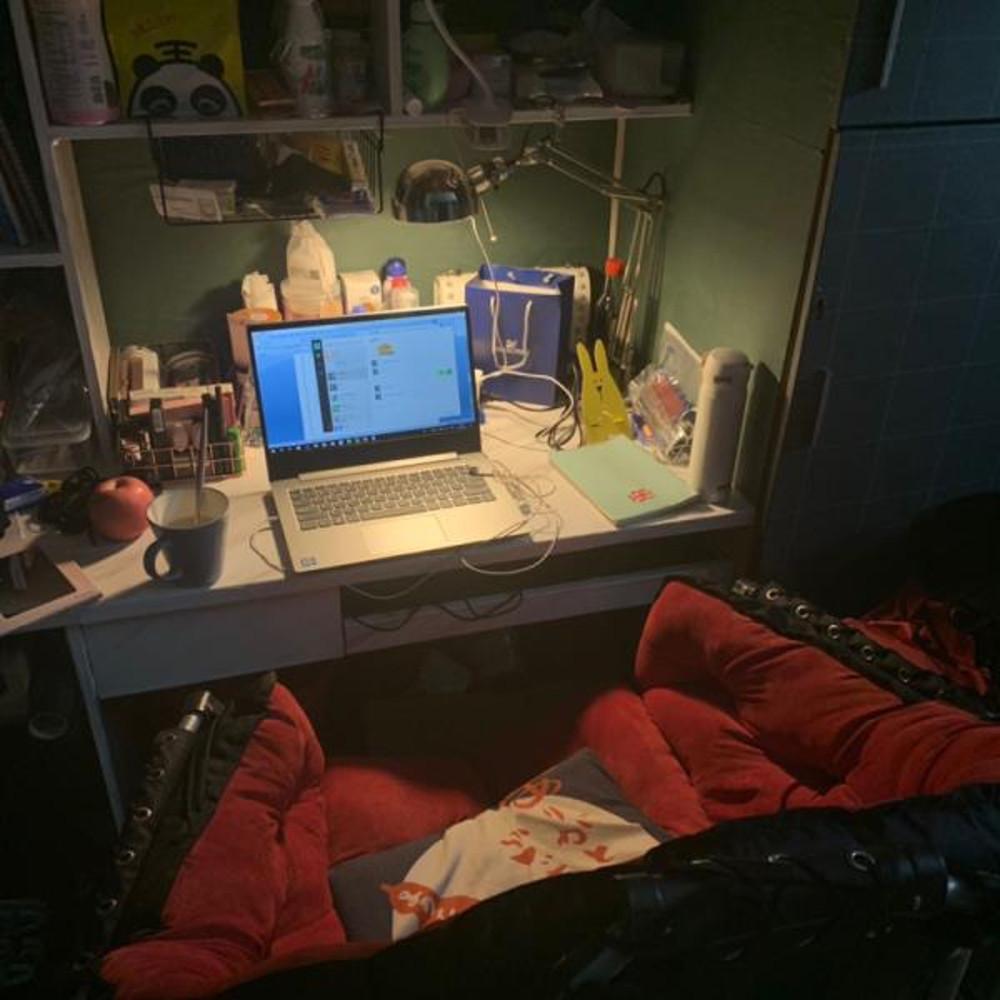 푹신한 컴퓨터 의자 학생 기숙사 책상의자