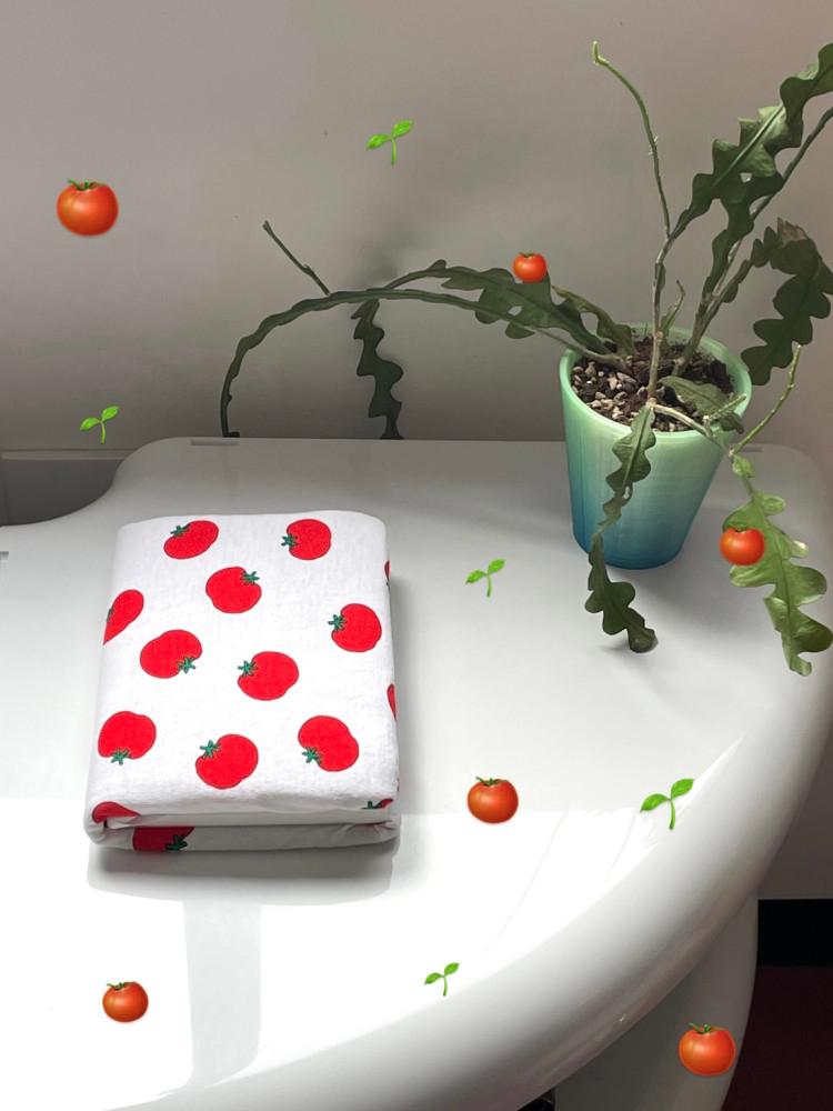 [SOON!] TOMATO NOTE 🍅