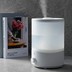 홈플래닛 초음파 가습기 2L