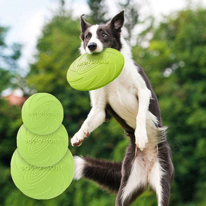 크레용펫 강아지 원반