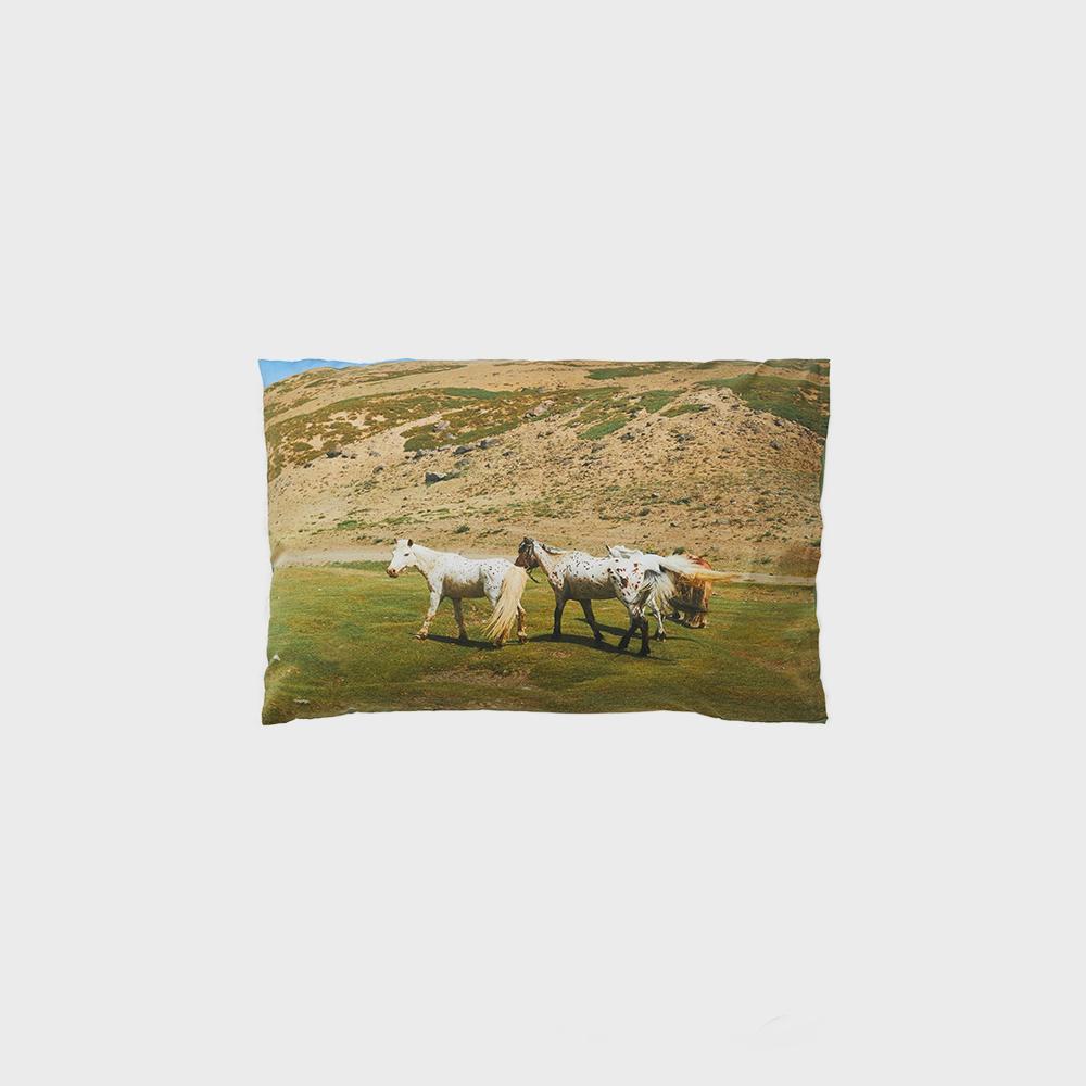 Mongolia horse pillow cover