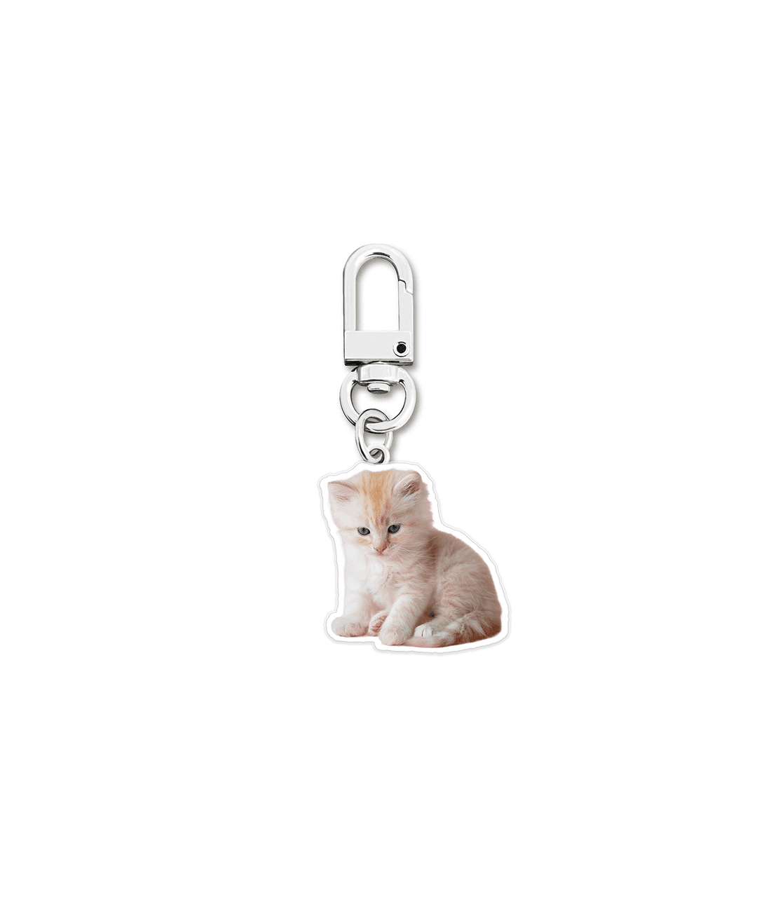 [Keyring] Cat party 키링