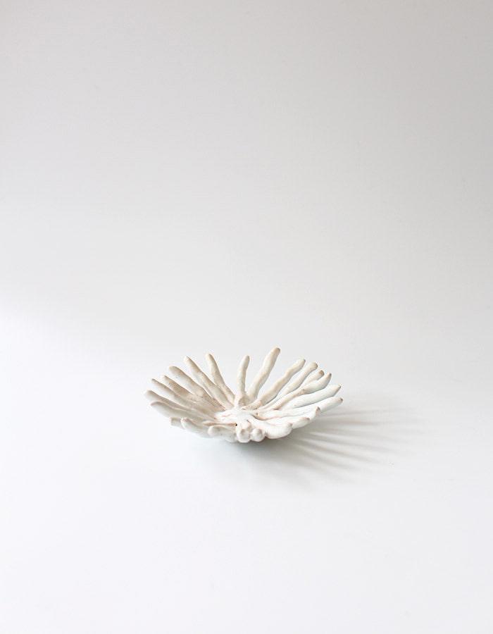 east smoke) sea creature tray 10차 재입고