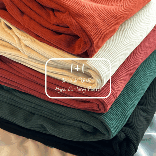 (기획) 24F/W 1+1 하입 코듀로이 기모팬츠