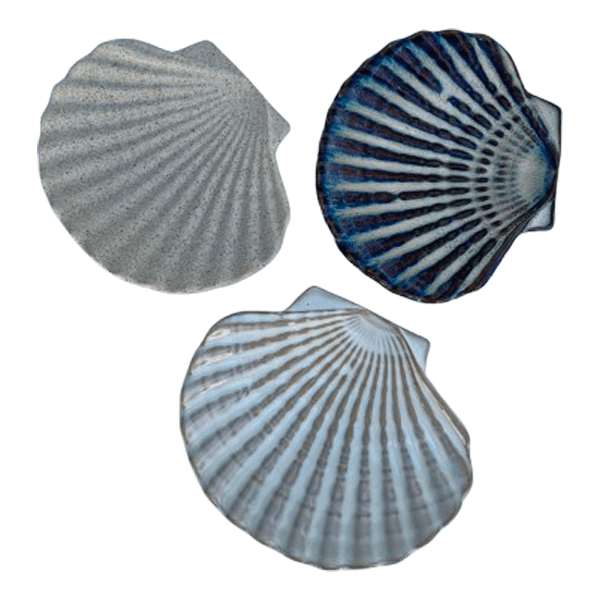 가리비 접시 3종