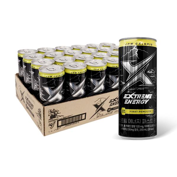 익스트림 에너지 퍼스트 펭귄