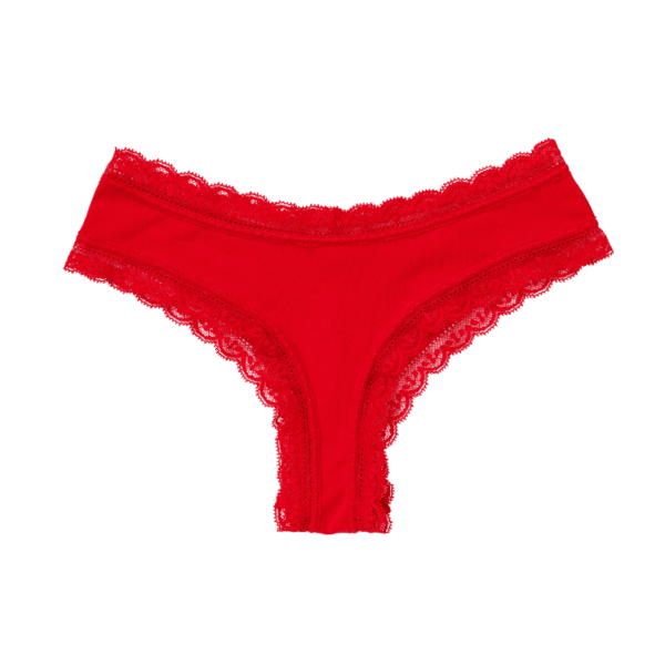 Minimal Lace Cheeky Panty(Red)