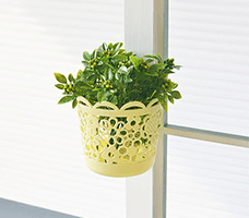 초코홀릭 바스켓 (세 가지 사이즈)