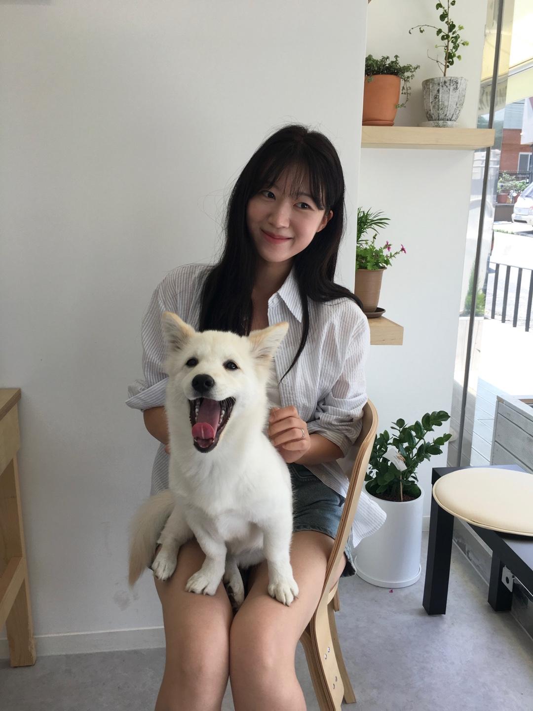 케키 스트라이프 셔츠