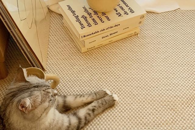 10%쿠폰! 먼지없는 솔리드 사이잘룩 러그 여름 카페트 8size