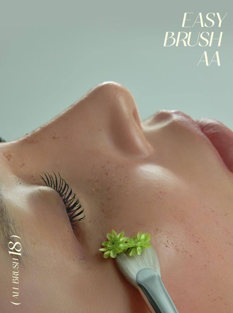 [🎉~24%] 이지 브러시 AA 18종