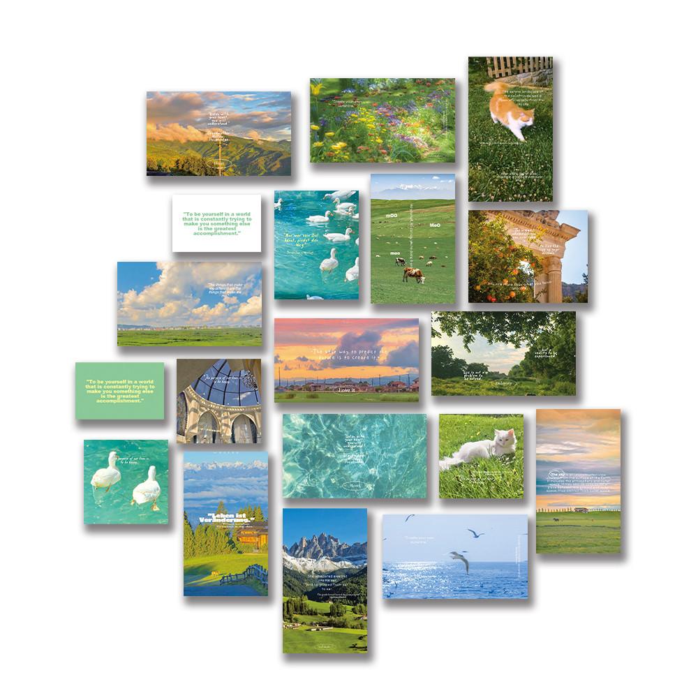 [ Nature Pack ] 오브제스티커 오브제 다이어리꾸미기 다꾸 다꾸스티커 스티커 스크랩