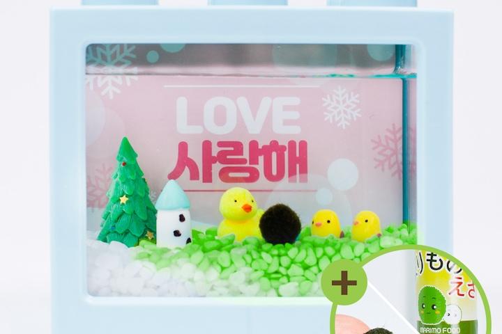 오리가족 나들이 마리모 키우기 세트 마리모포함