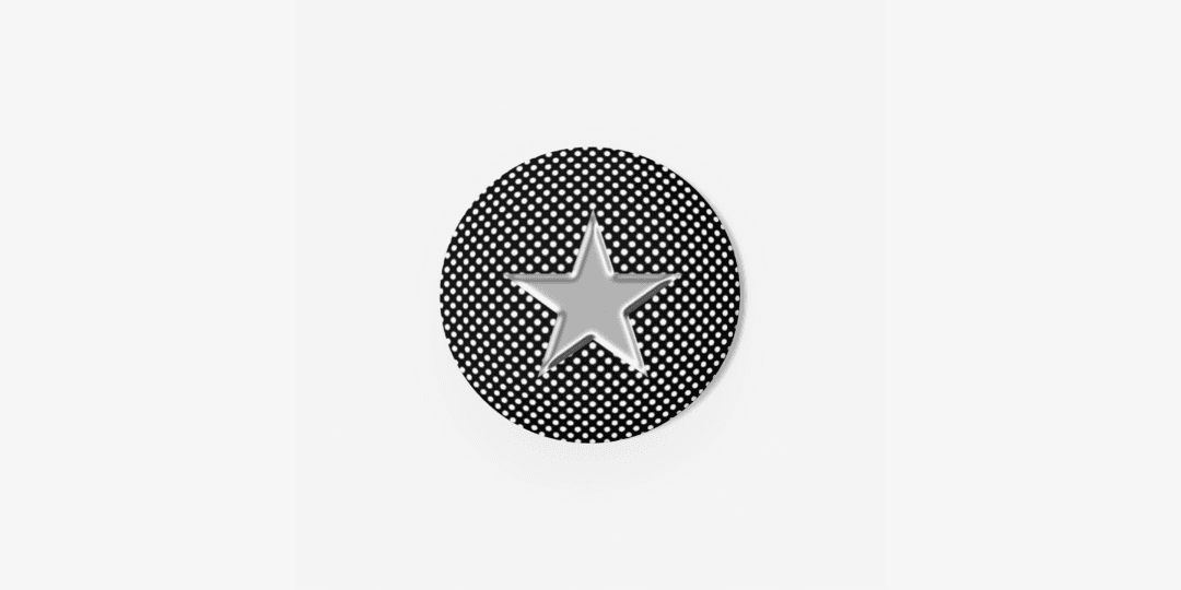 ★ Silver star can badge ㅣ 마플샵