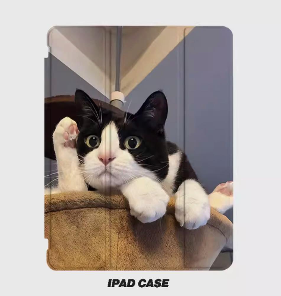 엥 무슨 신박한 개소리야 내 다리로 꽁 하고 한 대 맞고싶냥