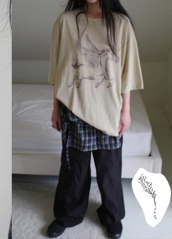 pegasus over T-shirt (3c)