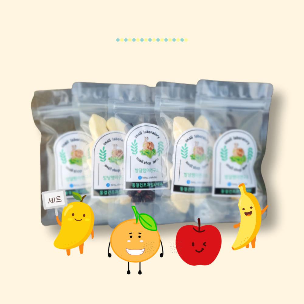 달팽이 먹이 동결건조 과일사료 세트, 애완달팽이 영양간식