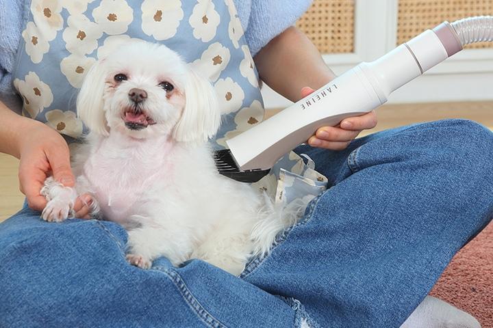 더 펫 스마트 멀티 진공 애견 이미용기 반려동물 드라이기 건조기 털말리기 6in1