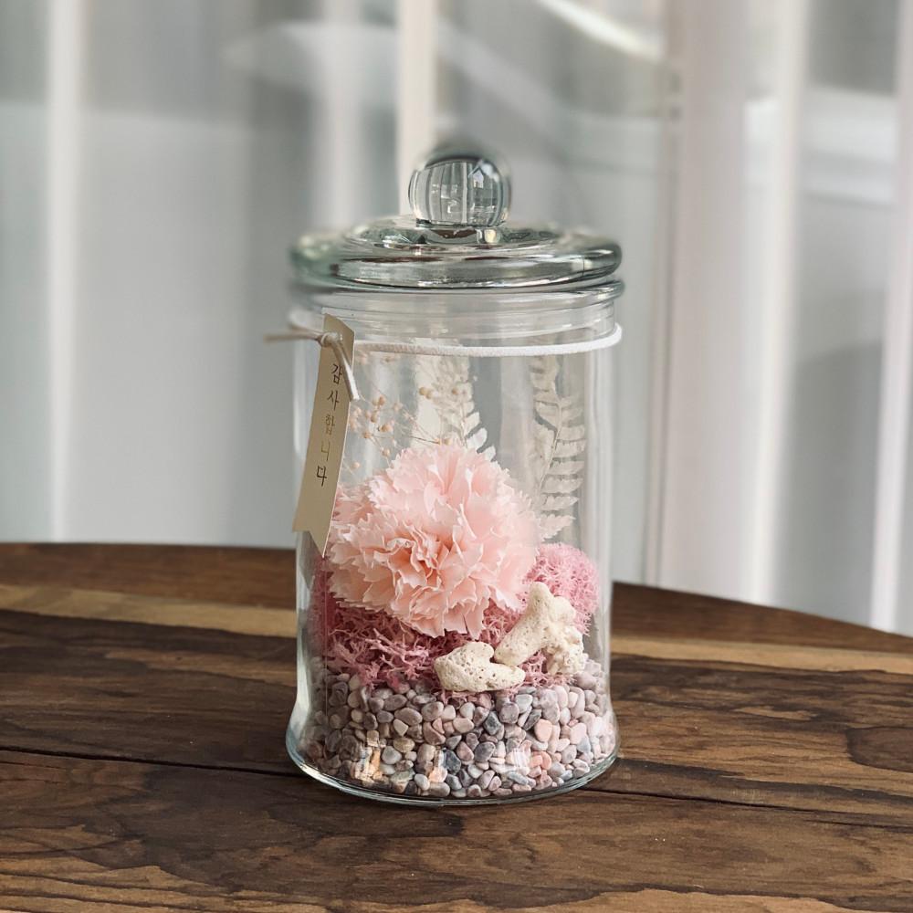 카네이션 프리저브드 테라리움 DIY 어버이날 용돈박스 스칸디아모스 공기정화 비누꽃