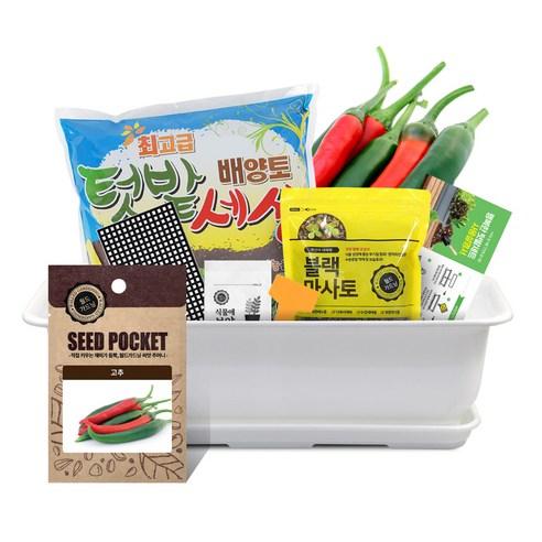 월드가드닝 뷰티6호 텃밭세트 화이트 - 텃밭세트 | 쿠팡