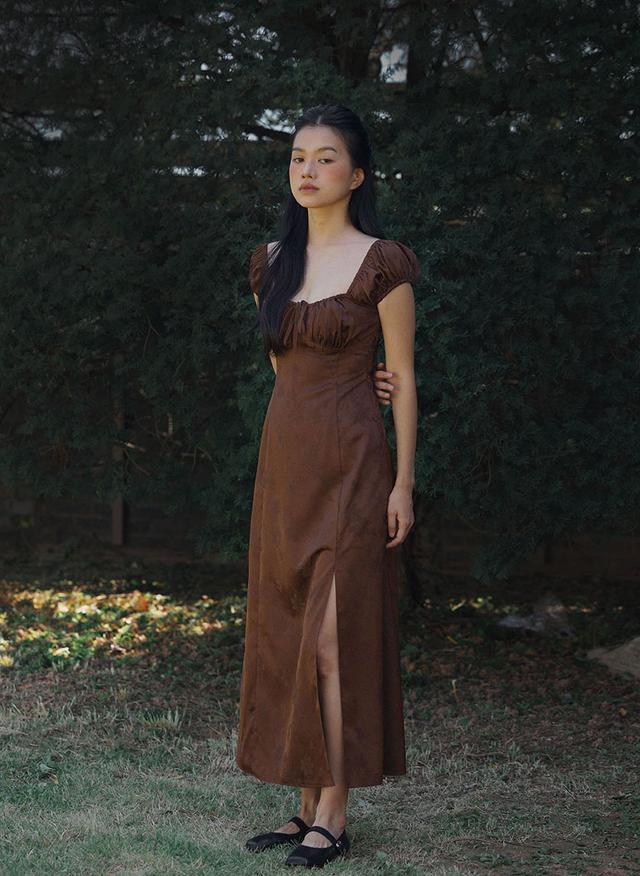 Goya Brown Dress (Brown)
