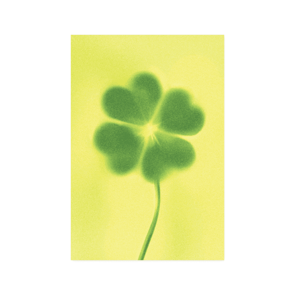 [기묘] Clover 엽서