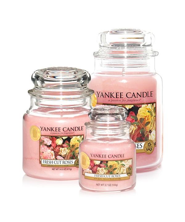 프레쉬컷로즈 (Fresh Cut Roses)