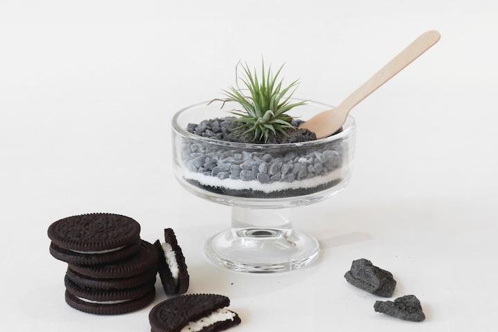 이오난사 테라리움 키트 디저트 쿠앤크 ver.