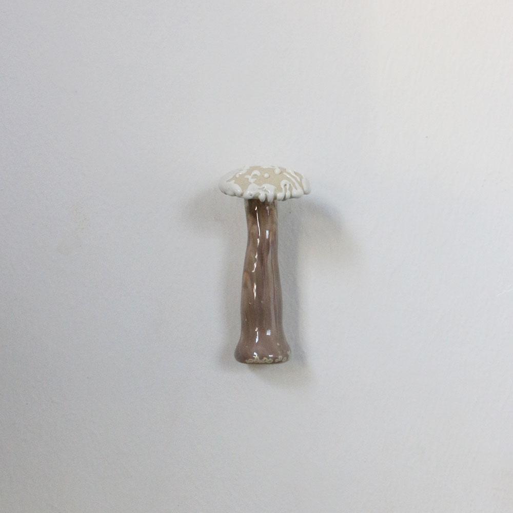 magnetic(mushroom06)