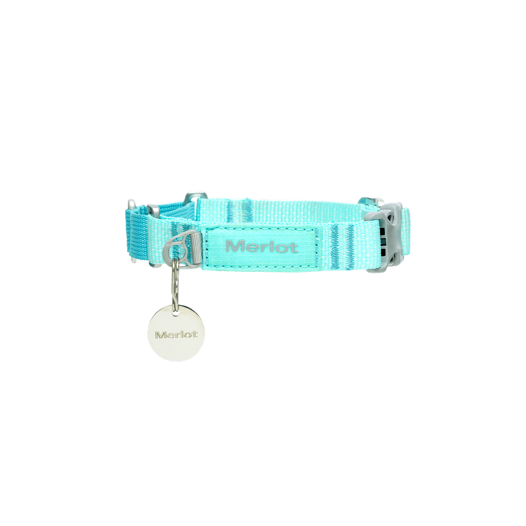 Ardor™ Martingale Collar Mint